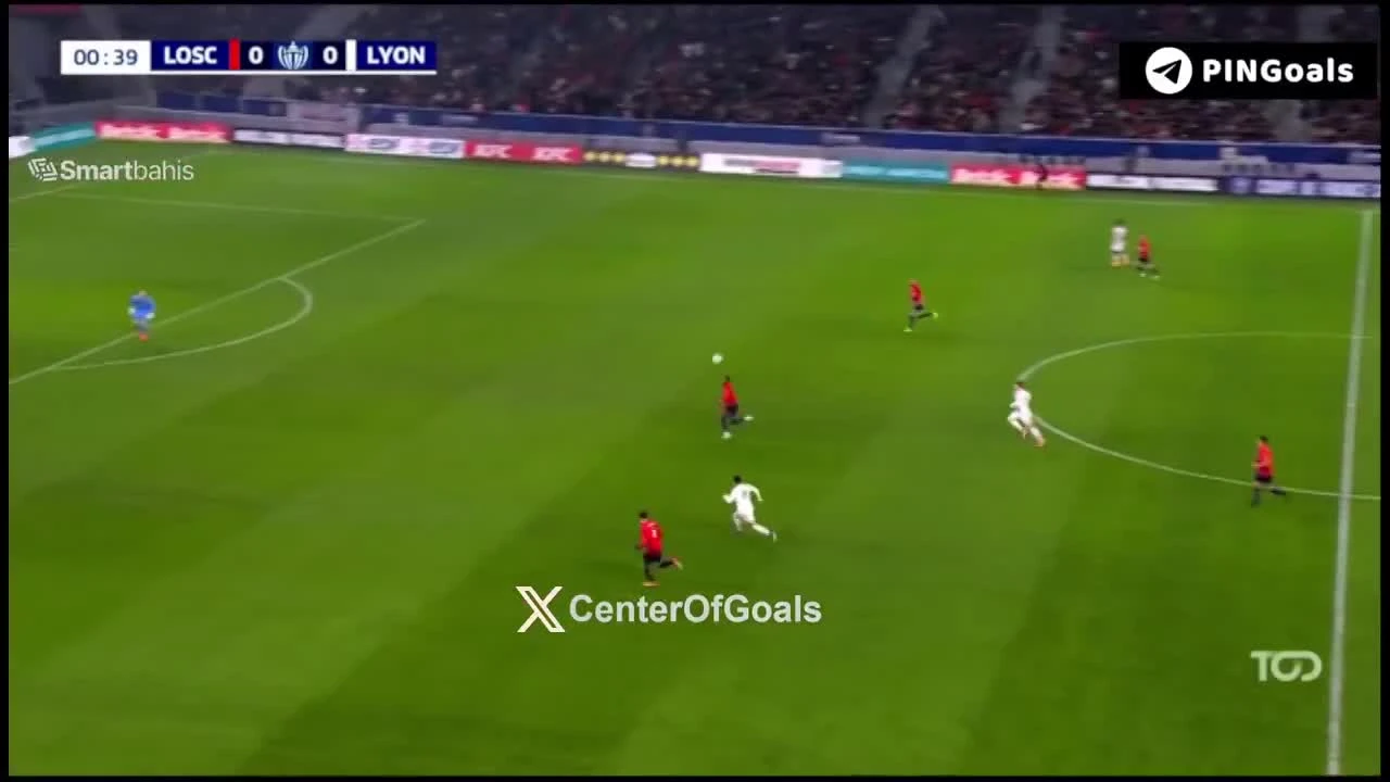 zaslepka skrotu video