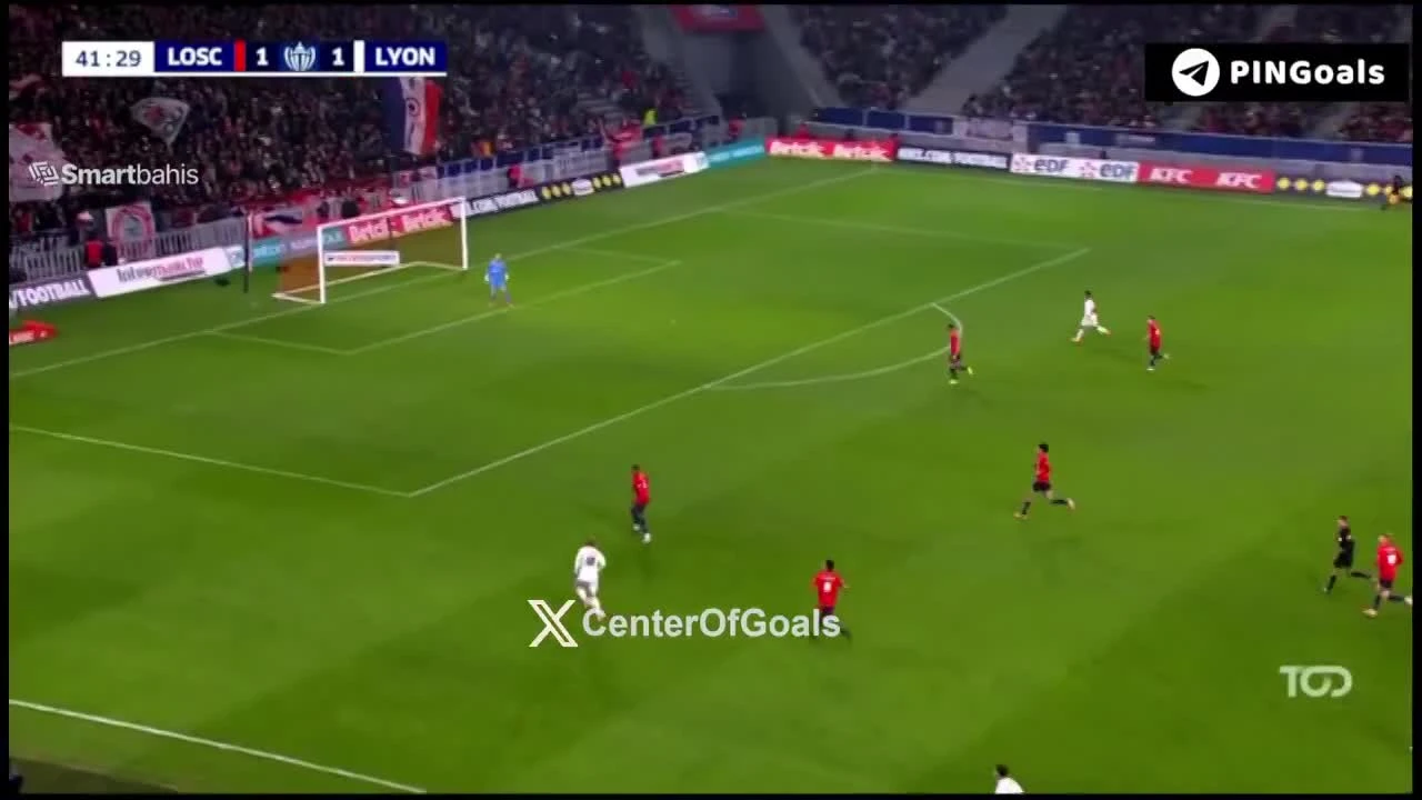 zaslepka skrotu video