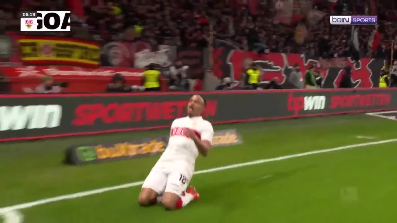 zaslepka skrotu video