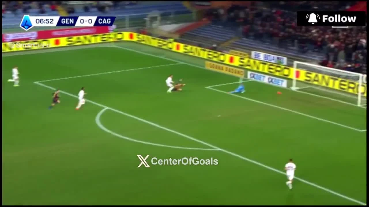 zaslepka skrotu video