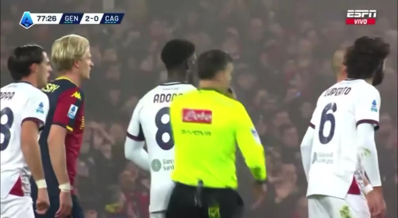 zaslepka skrotu video