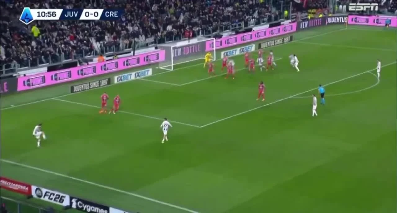 zaslepka skrotu video