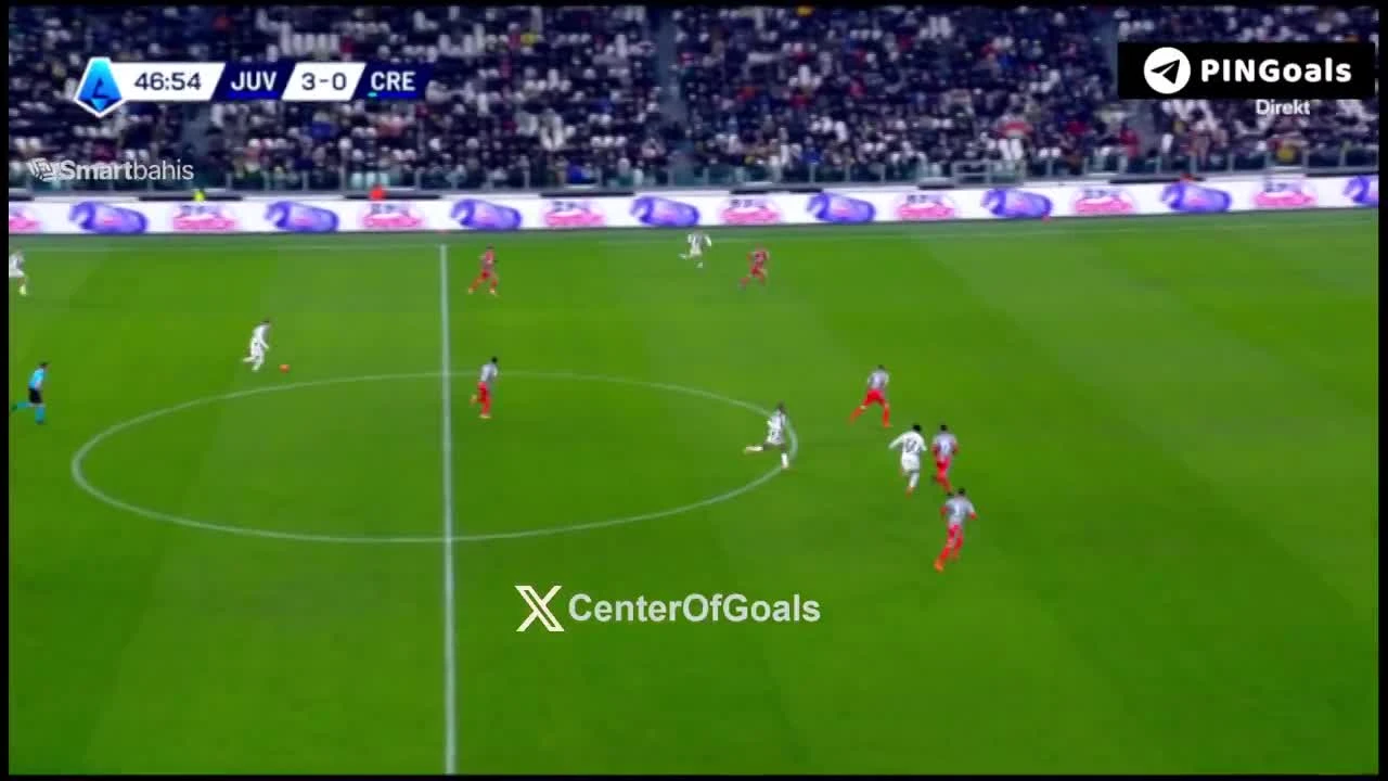 zaslepka skrotu video