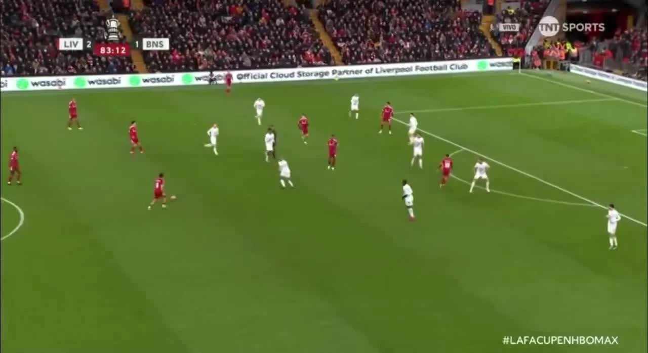 zaslepka skrotu video