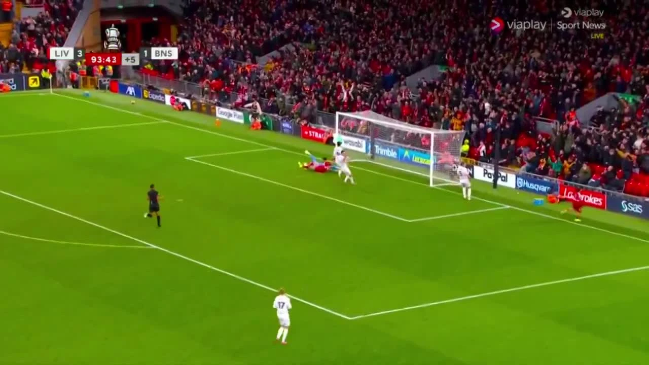 zaslepka skrotu video