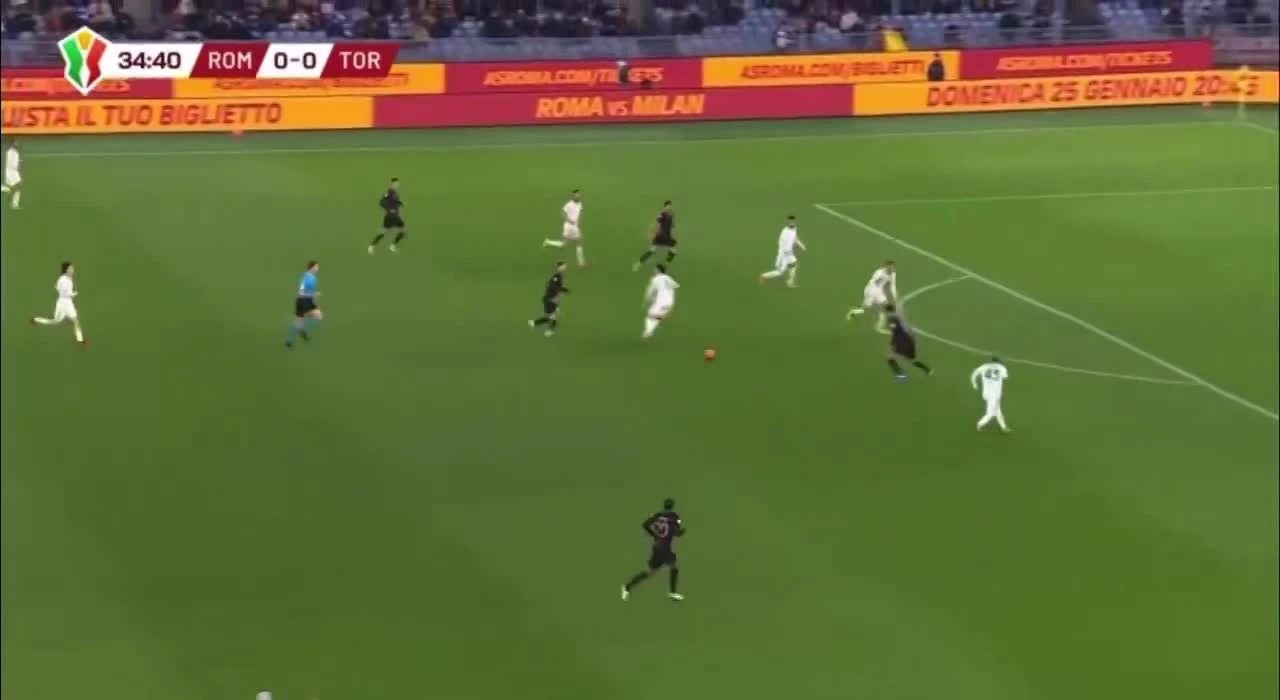 zaslepka skrotu video