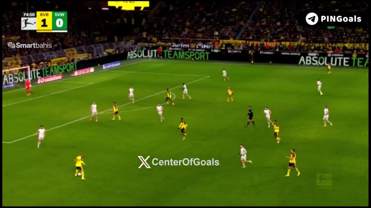 zaslepka skrotu video