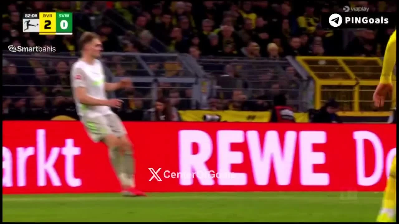 zaslepka skrotu video