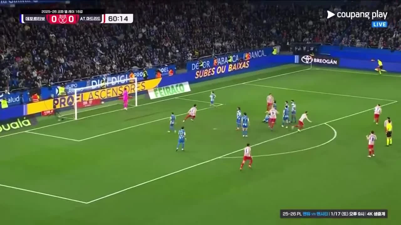 zaslepka skrotu video