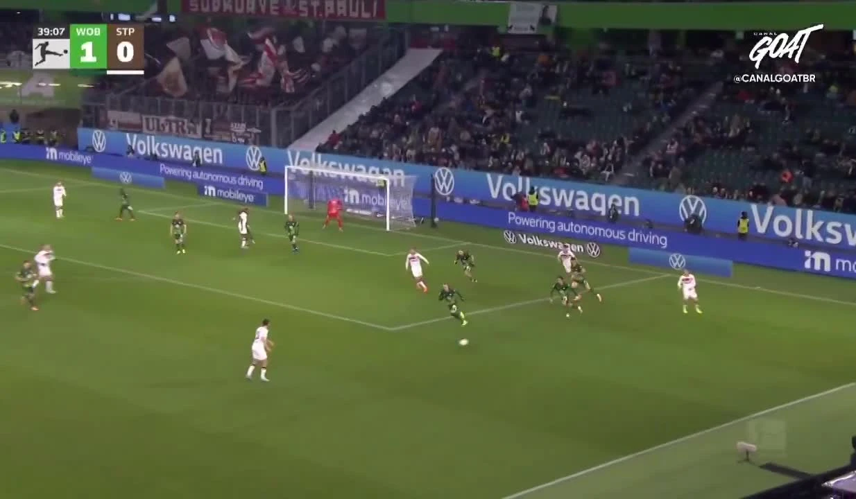 zaslepka skrotu video