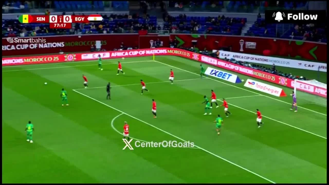 zaslepka skrotu video