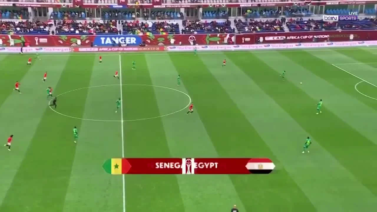 zaslepka skrotu video