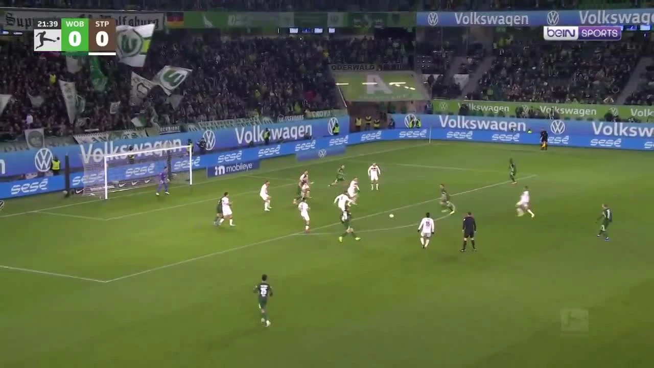 zaslepka skrotu video