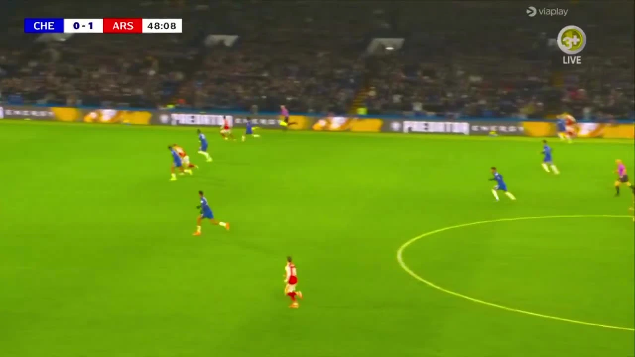 zaslepka skrotu video