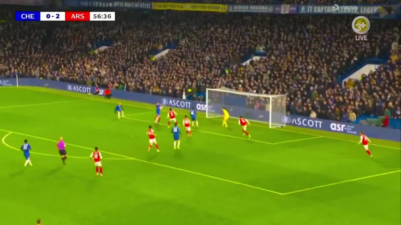 zaslepka skrotu video