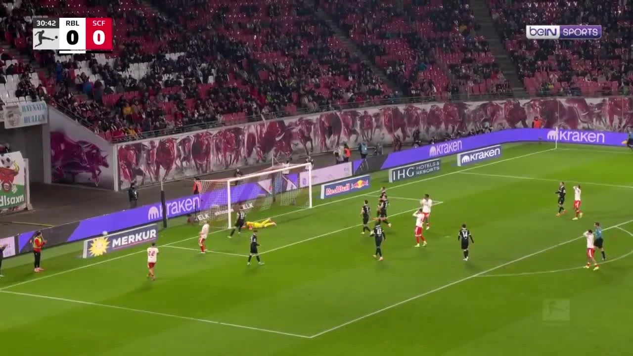 zaslepka skrotu video