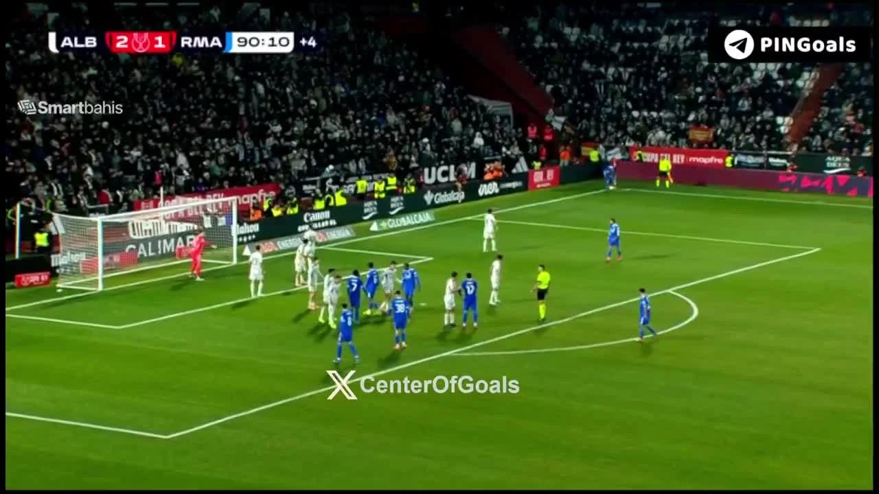 zaslepka skrotu video