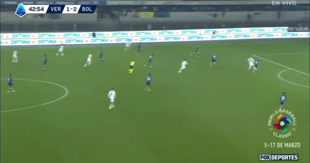 zaslepka skrotu video