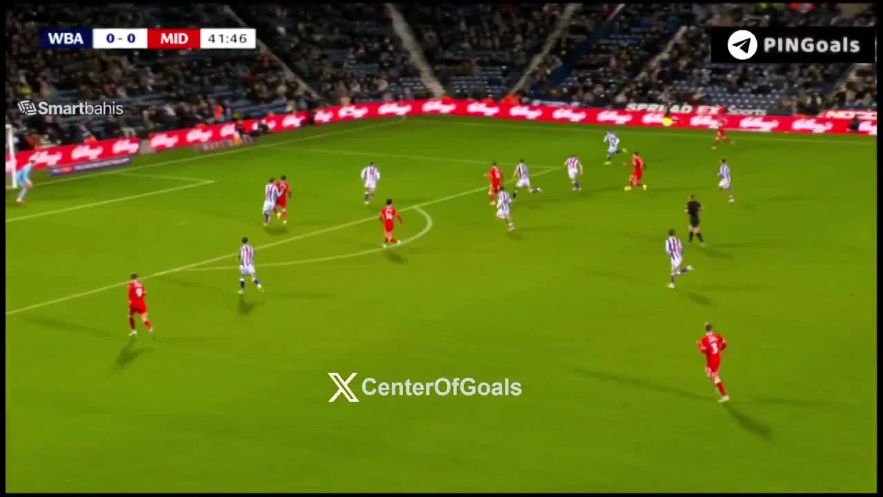 zaslepka skrotu video