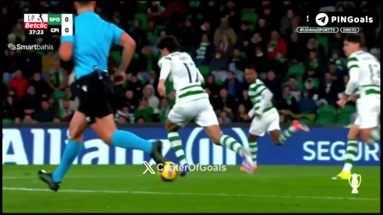 zaslepka skrotu video