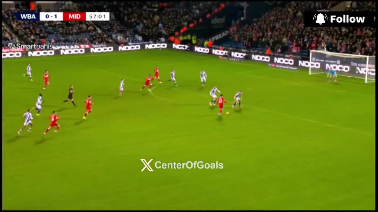 zaslepka skrotu video