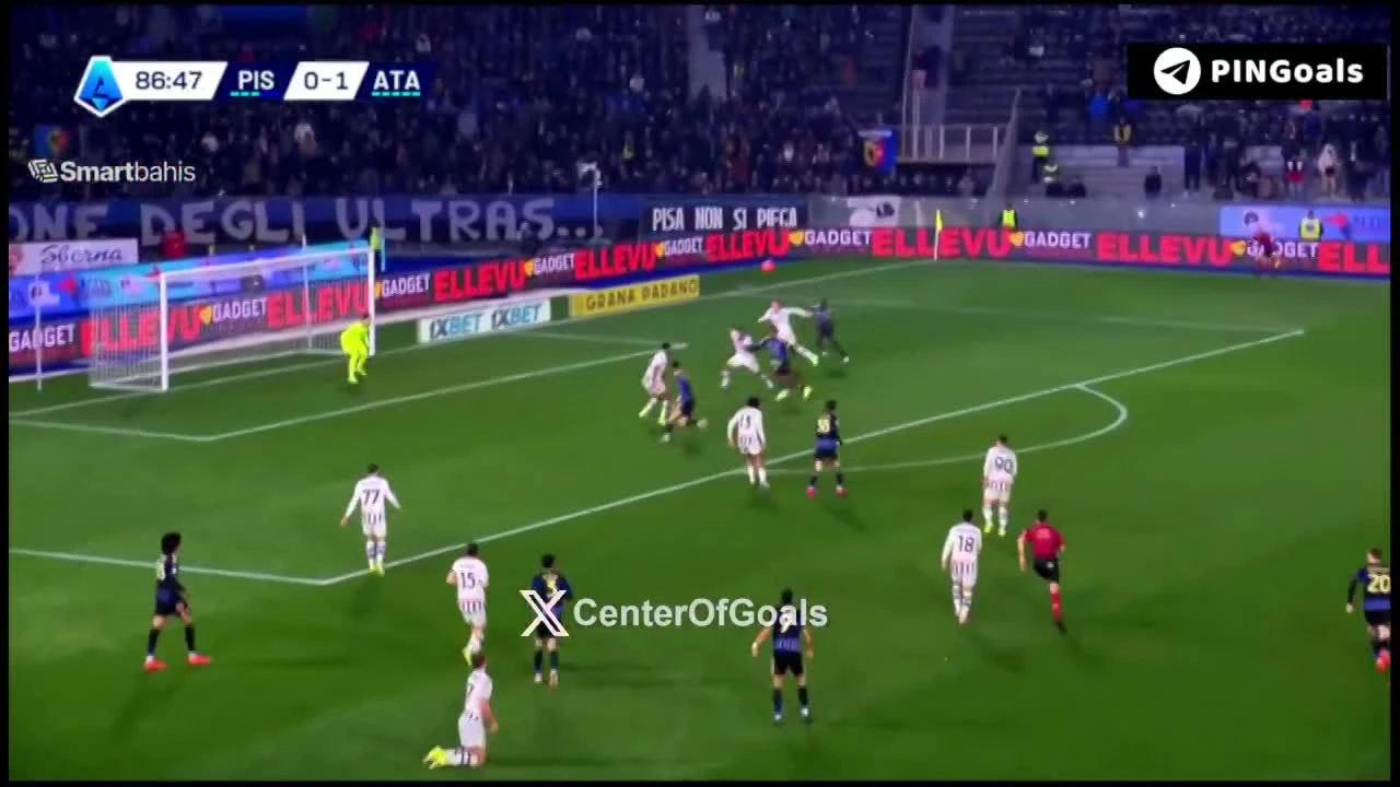 zaslepka skrotu video