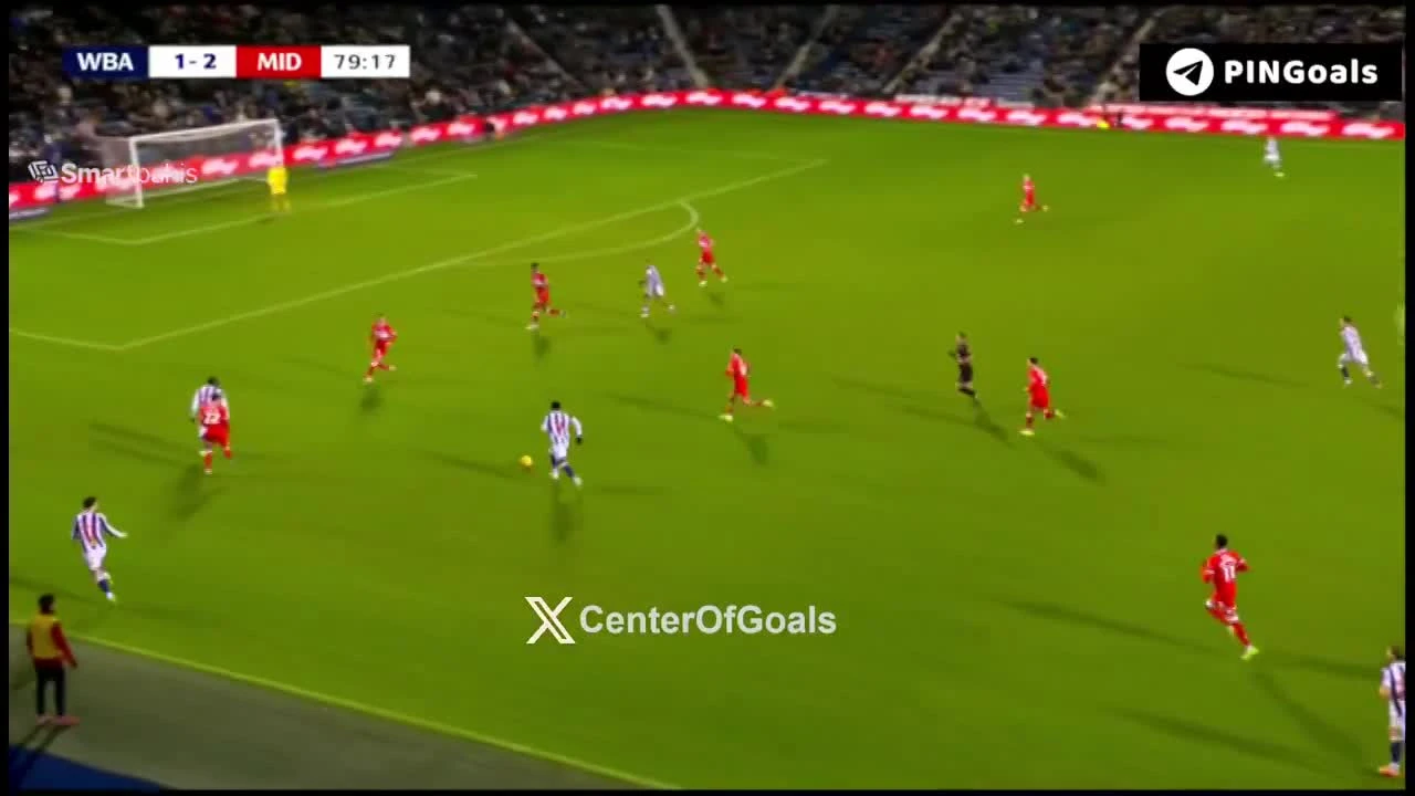 zaslepka skrotu video