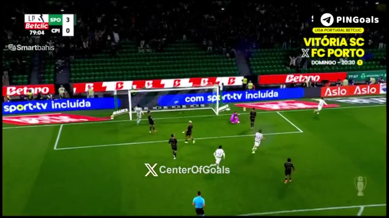 zaslepka skrotu video