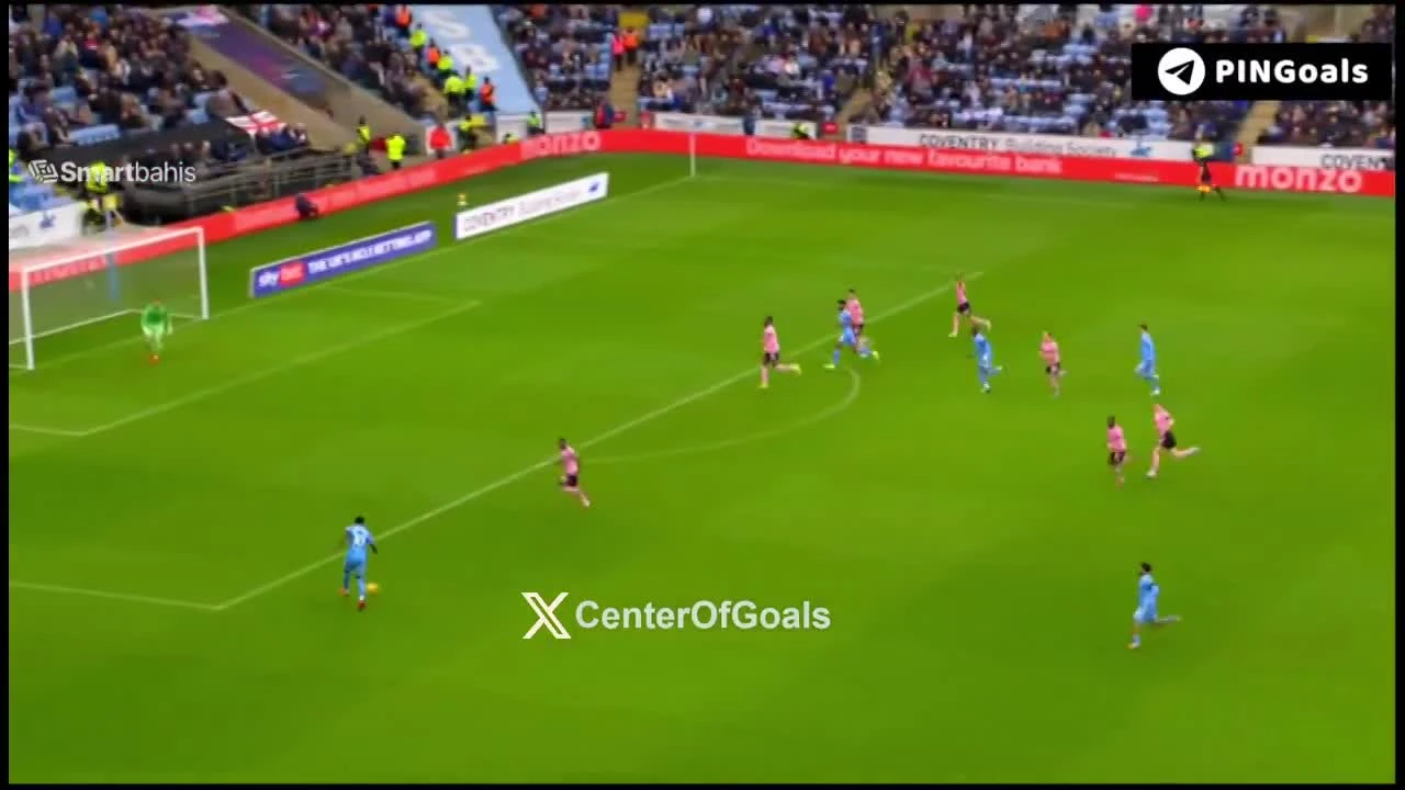 zaslepka skrotu video