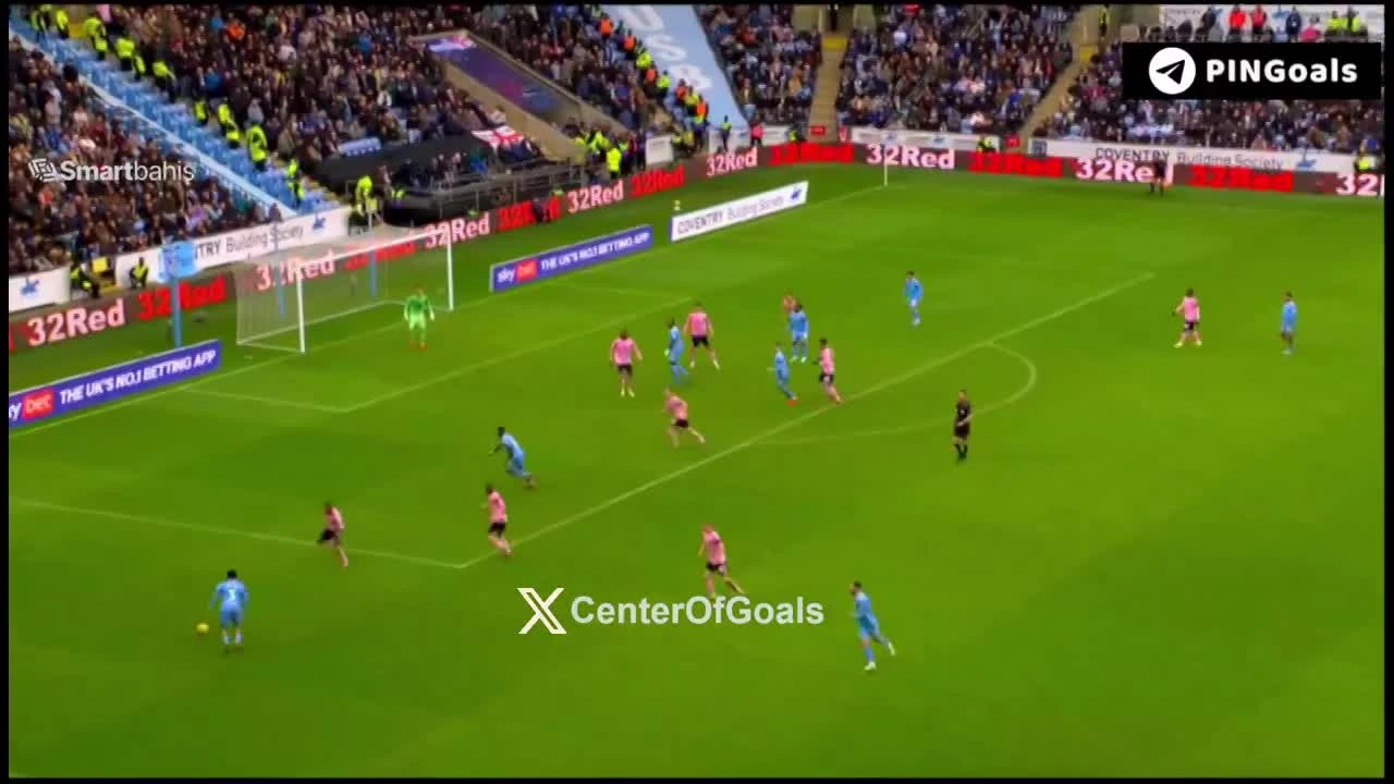 zaslepka skrotu video