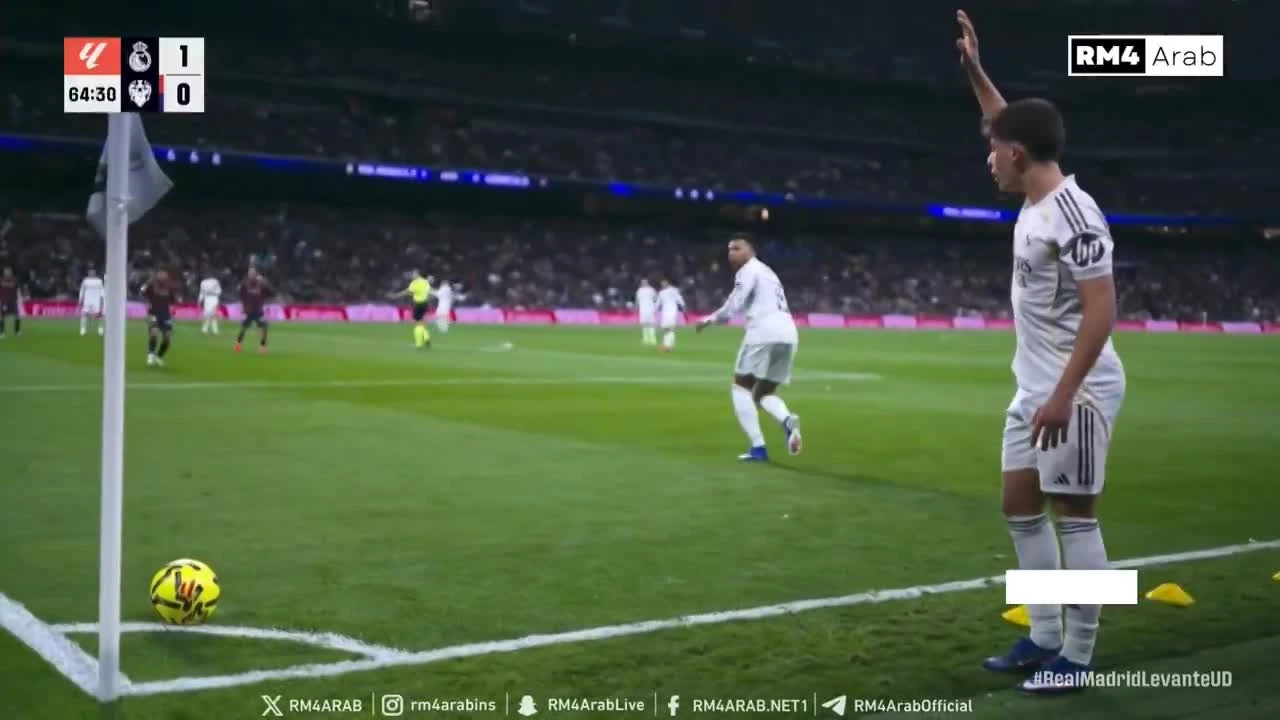 zaslepka skrotu video