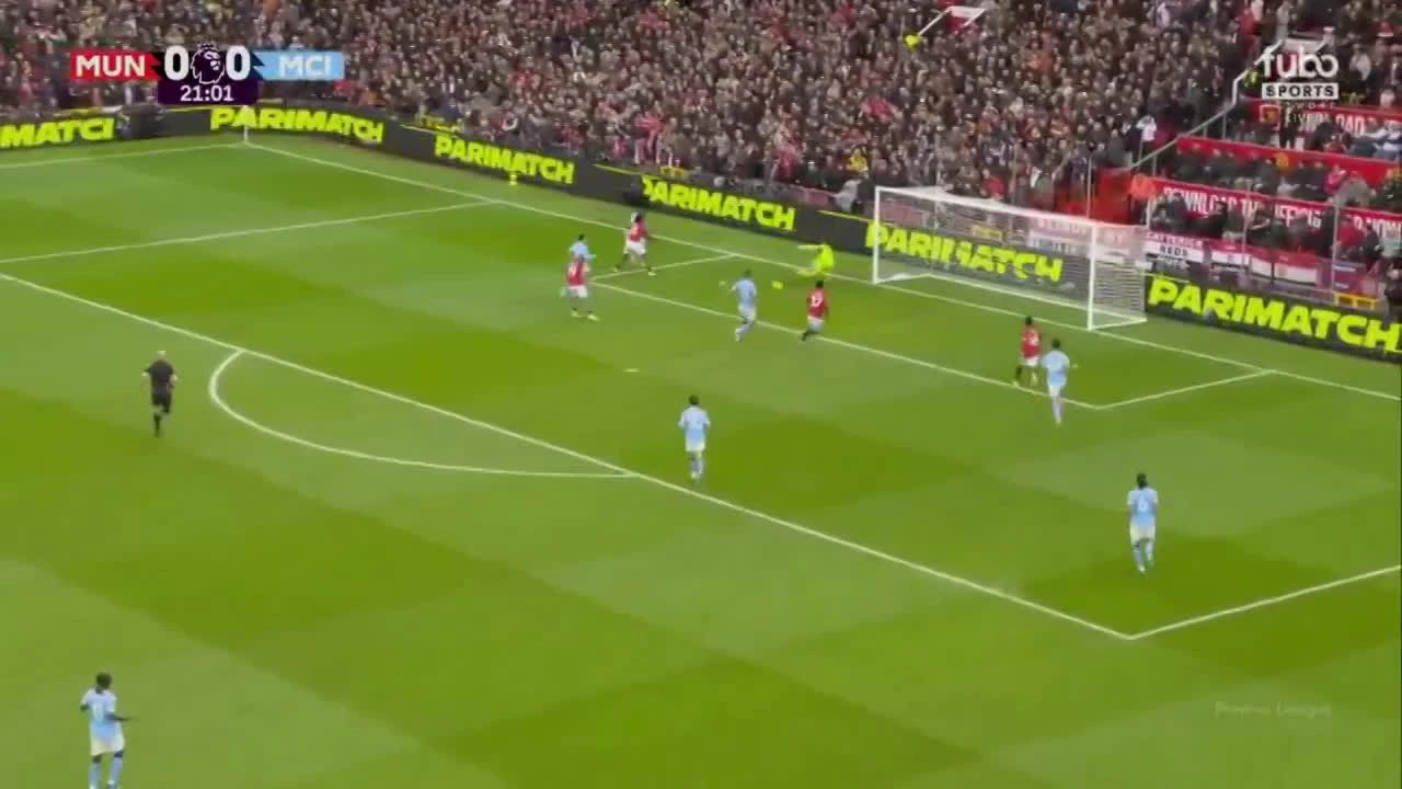 zaslepka skrotu video