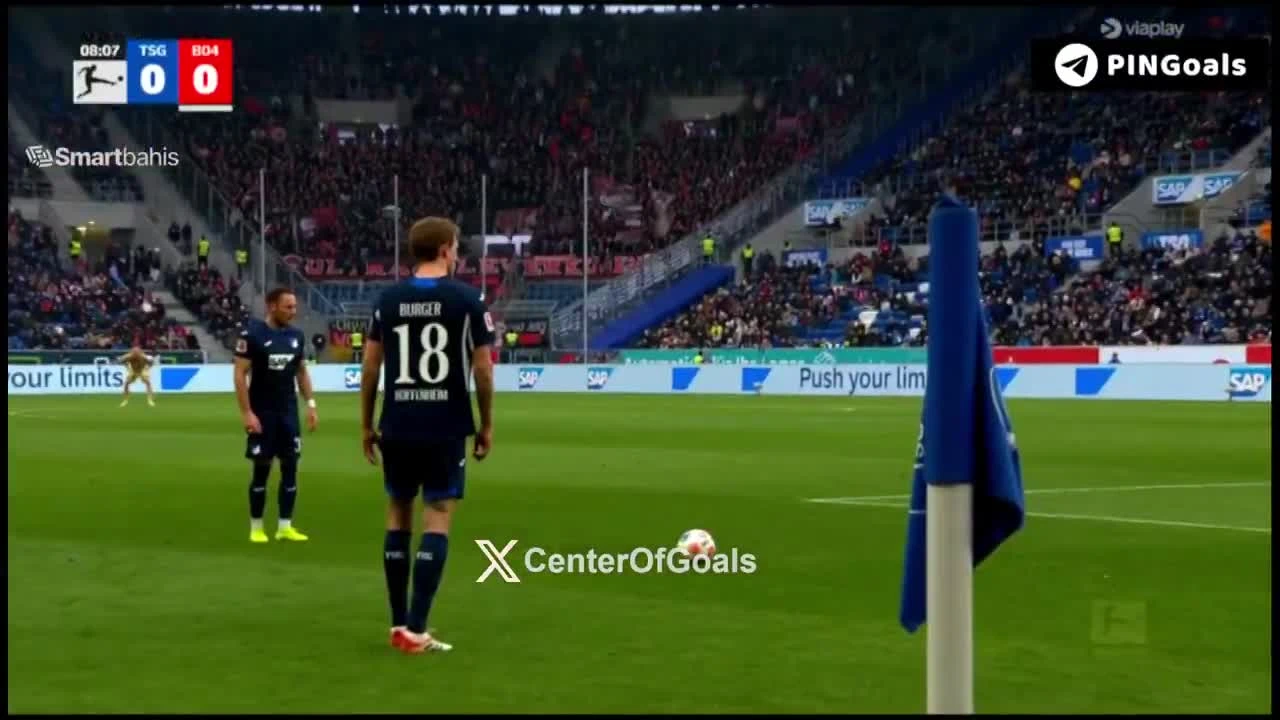 zaslepka skrotu video