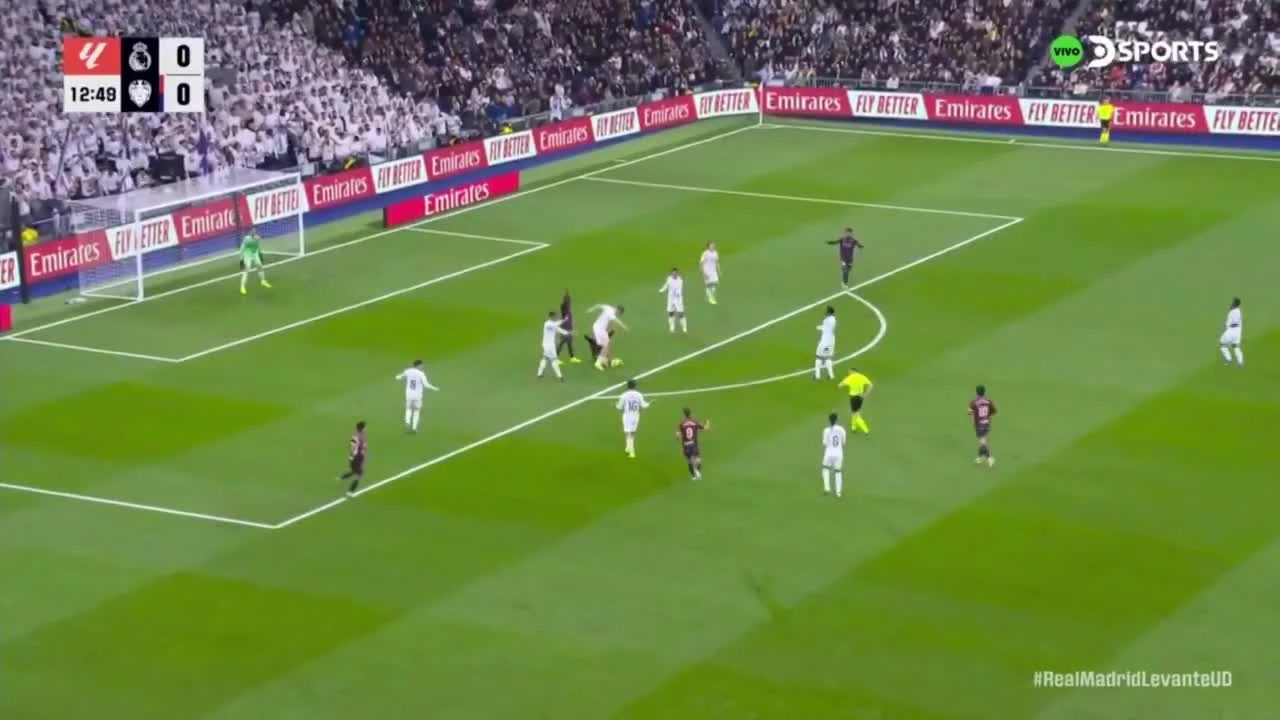 zaslepka skrotu video