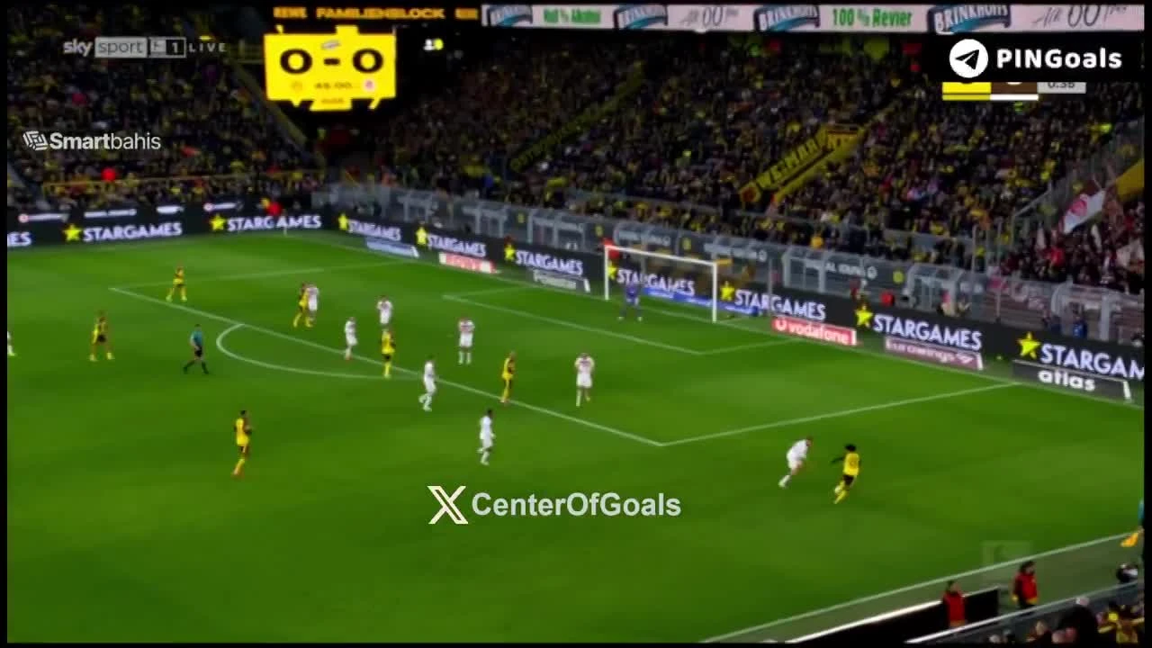 zaslepka skrotu video