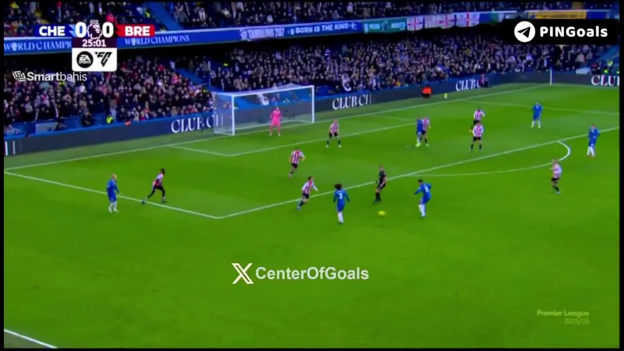 zaslepka skrotu video