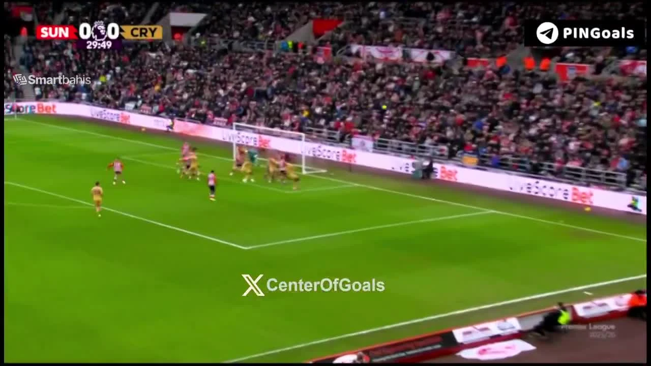 zaslepka skrotu video