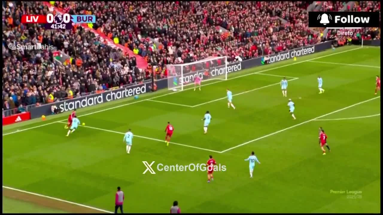 zaslepka skrotu video