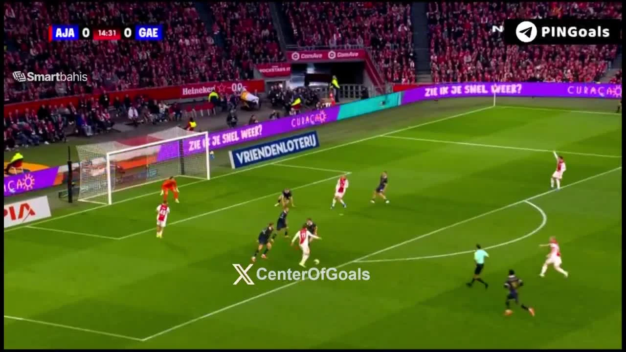 zaslepka skrotu video