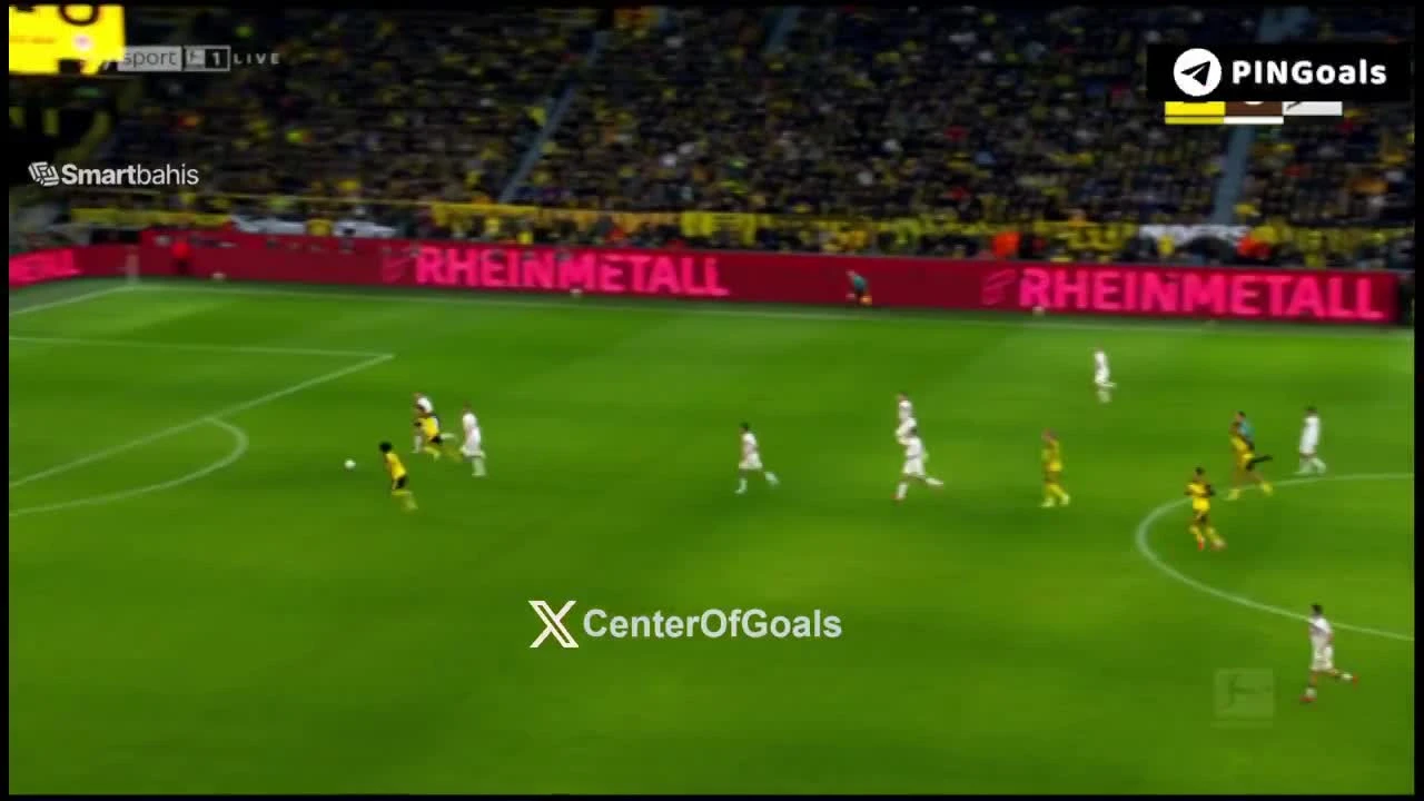 zaslepka skrotu video