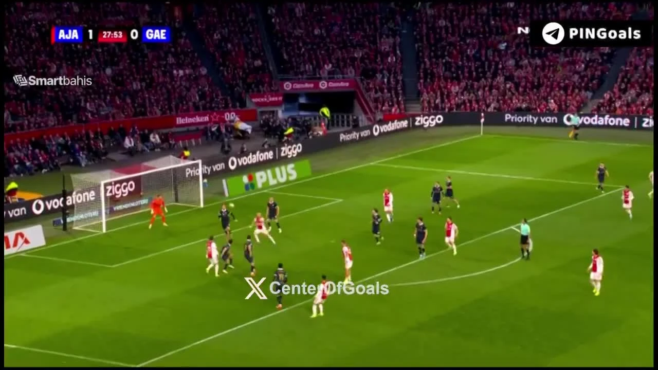 zaslepka skrotu video