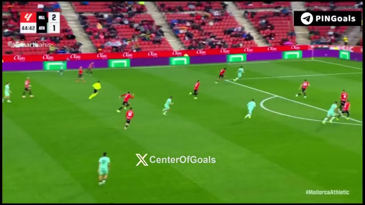 zaslepka skrotu video