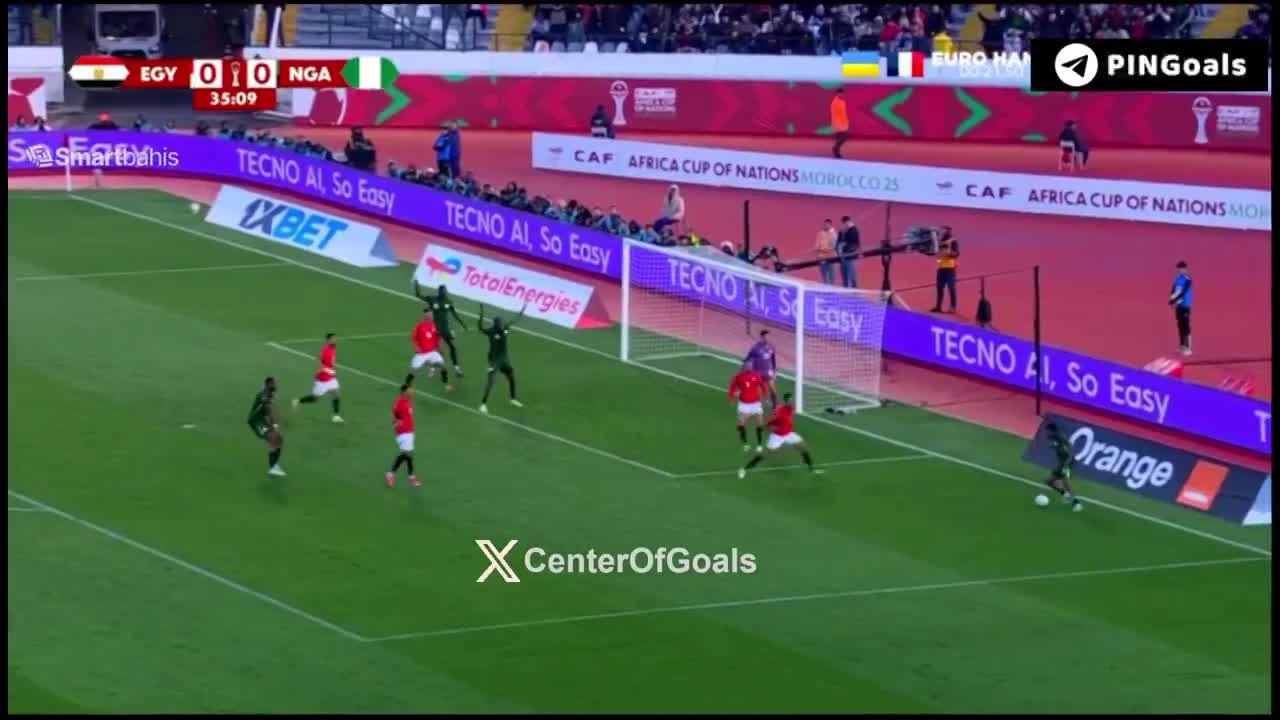 zaslepka skrotu video