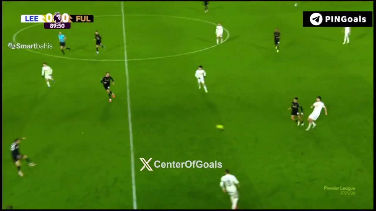 zaslepka skrotu video