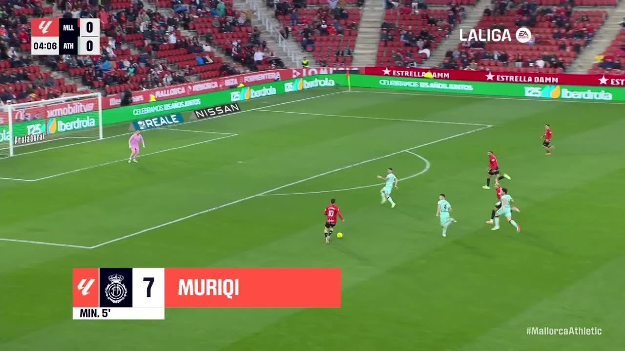 zaslepka skrotu video