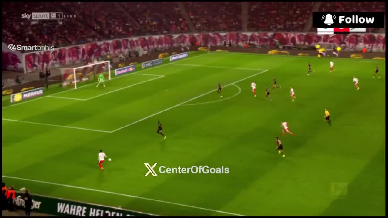 zaslepka skrotu video