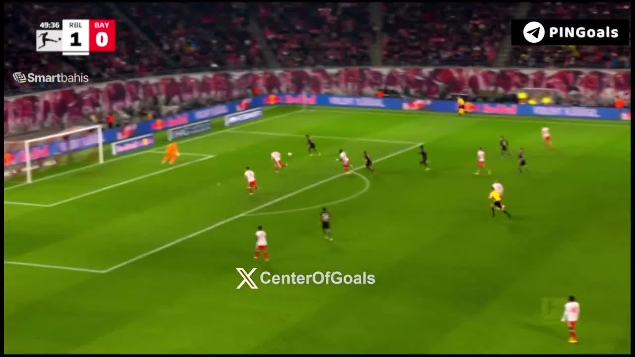 zaslepka skrotu video