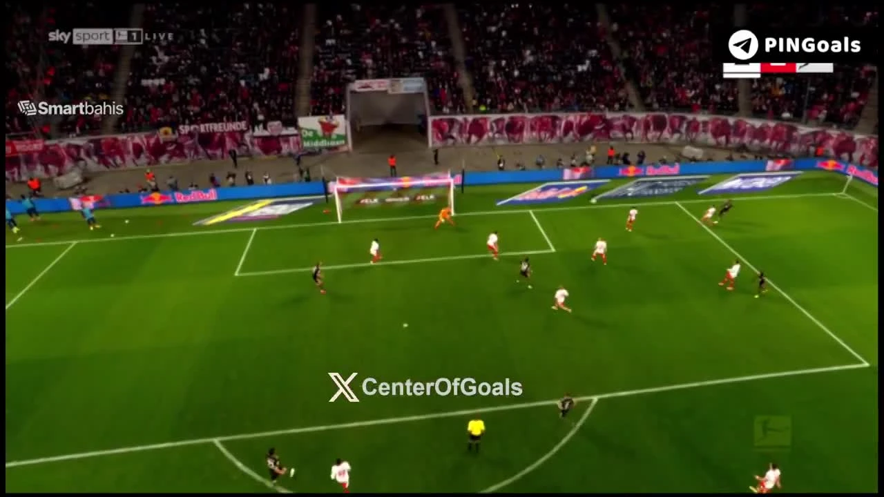 zaslepka skrotu video