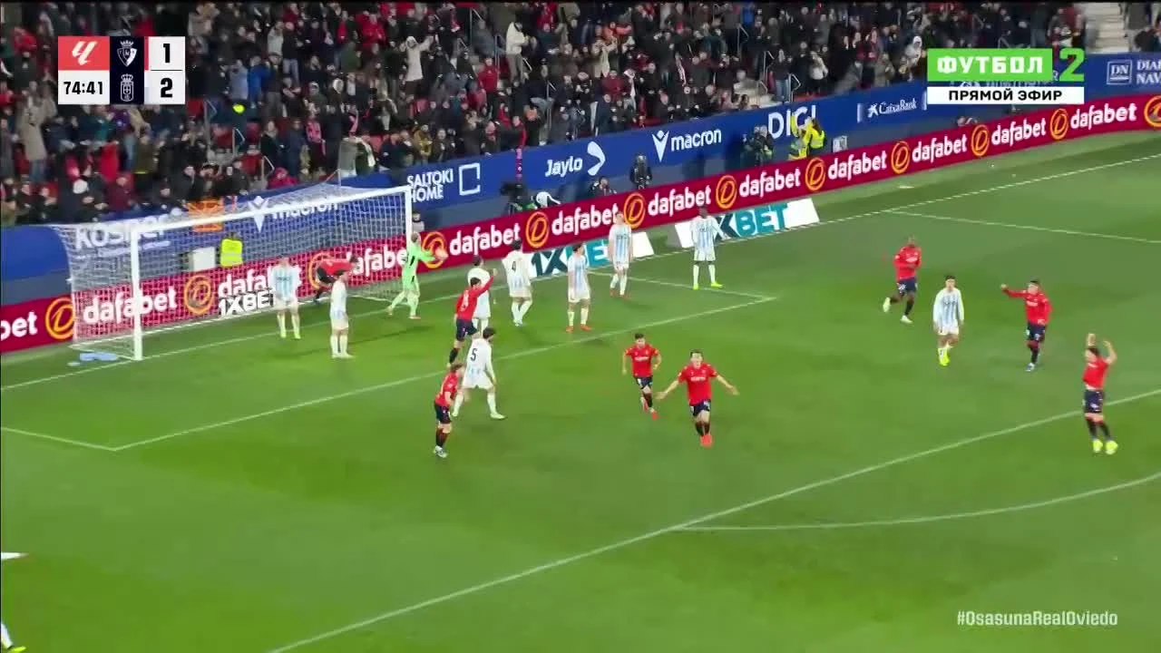 zaslepka skrotu video