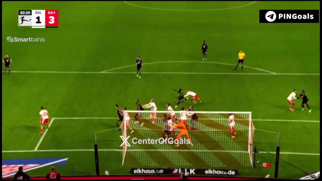 zaslepka skrotu video